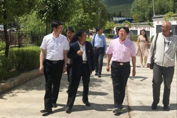 点击查看原图